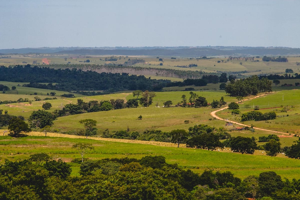 Antecipação de Recebíveis em Alfenas MG