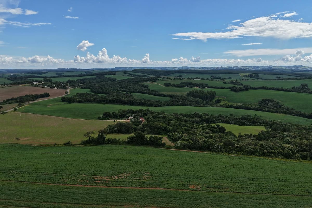 Esteira de Caixa: 5 passos para ganhar previsibilidade — Antecipa Fácil