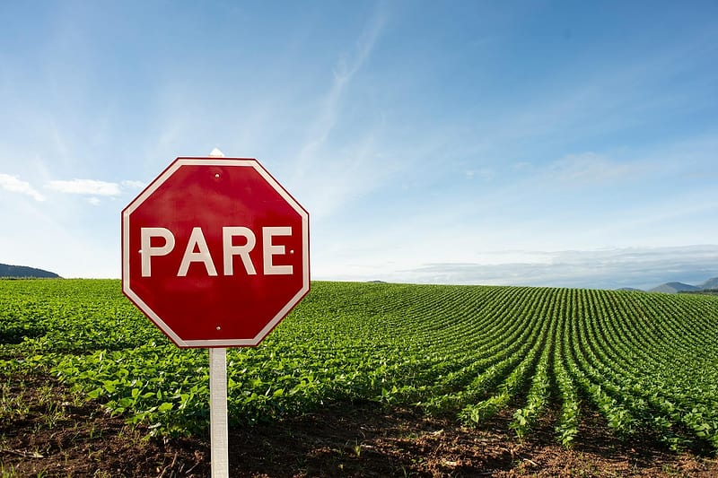 Crédito Rural Empresarial: Como Funciona e Diferenças para Urbano — credito