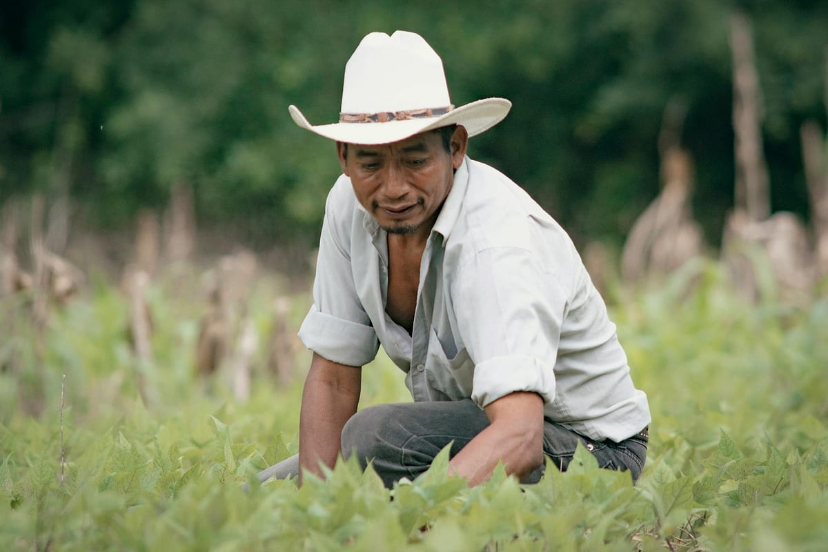 Securitização de Recebíveis: como liberar capital — Antecipa Fácil