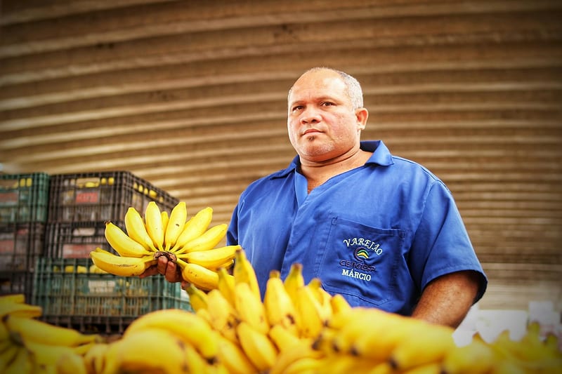 Sazonalidade: Como Diagnosticar Impactos no Caixa — sazonalidade