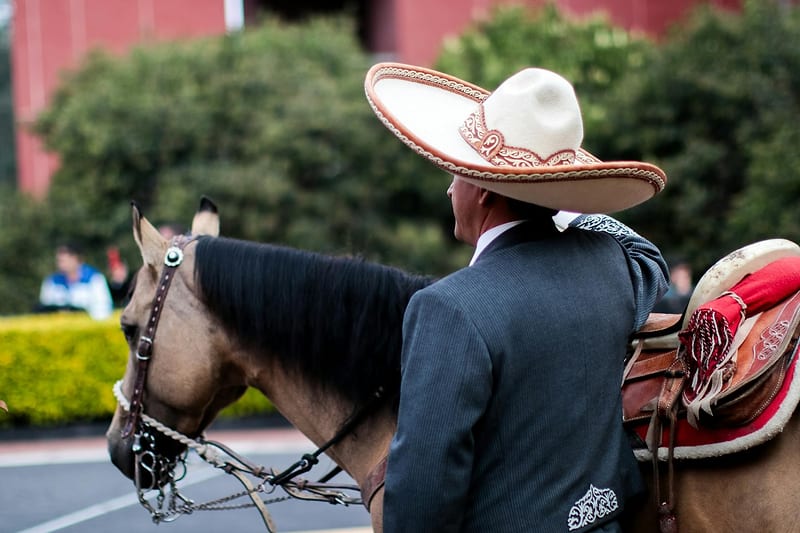 Fidc Estruturacao Recebiveis Capital Grandes Empresas — fidc-e-securitizacao