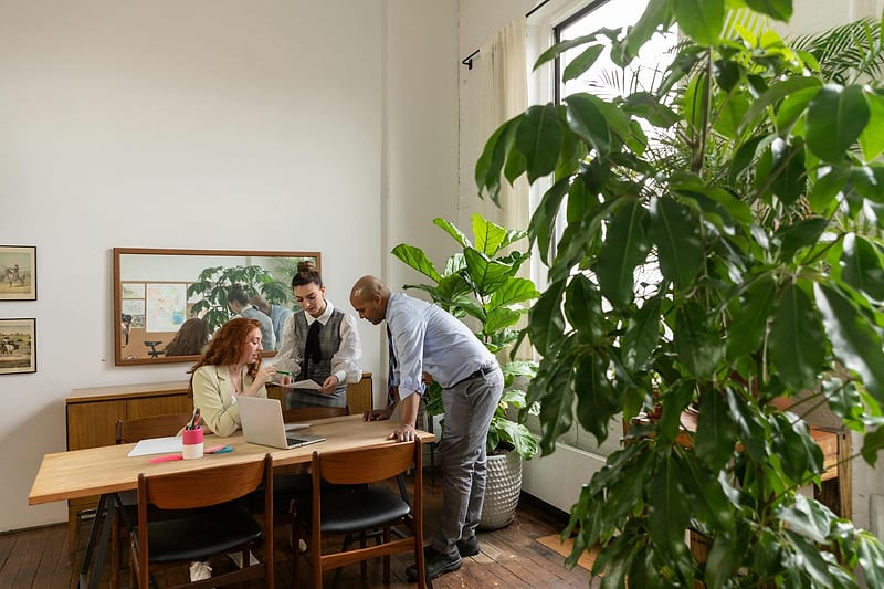 Esteira de Caixa: As Consequências da Desorganização — esteira-de-caixa