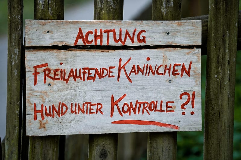 Implemente Due Diligence De Sacados E Evite — risco-e-inadimplencia