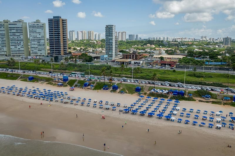 Originação de Recebíveis em Logística e Transporte para Multi-Family Offices — Financiadores