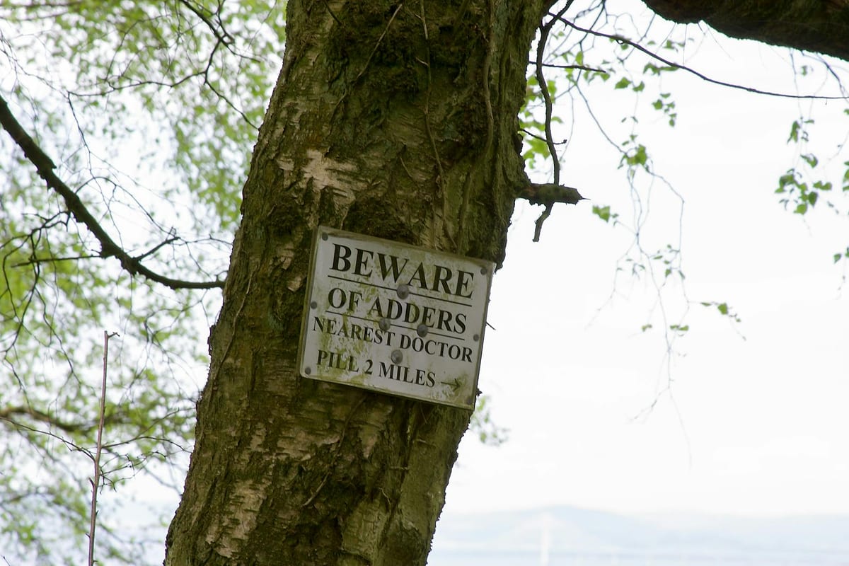 Risco de Concentração na Carteira B2B | Antecipa Fácil — Antecipa Fácil