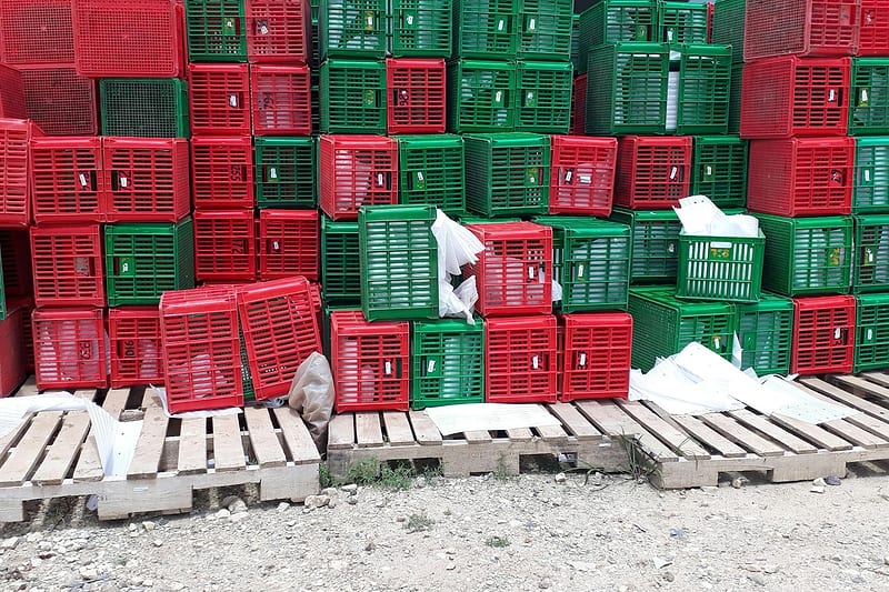 Sazonalidade no Caixa: As Consequências Invisíveis no B2B — sazonalidade