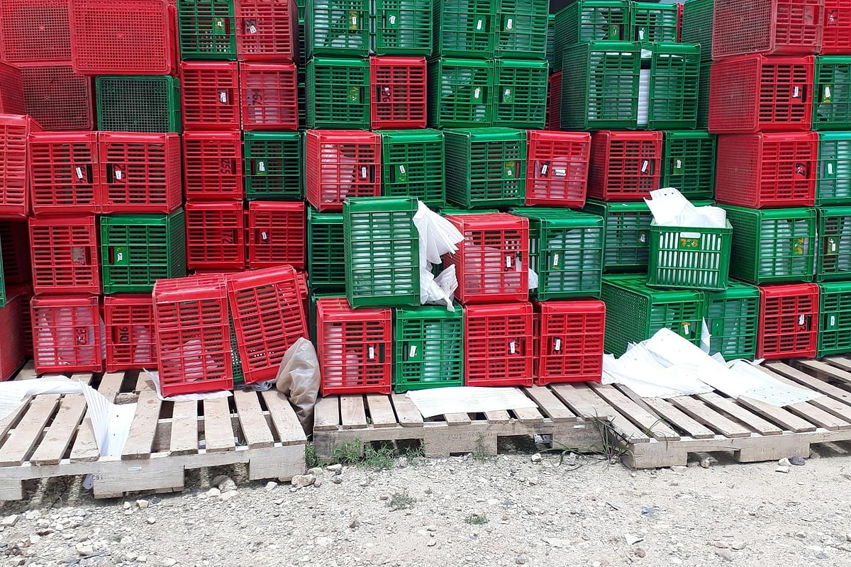 5 estratégias para proteger o caixa na sazonalidade